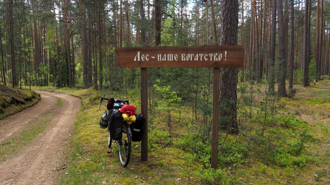 Береги лес!