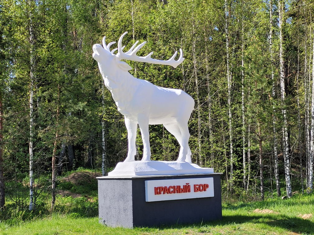 Красный Бор